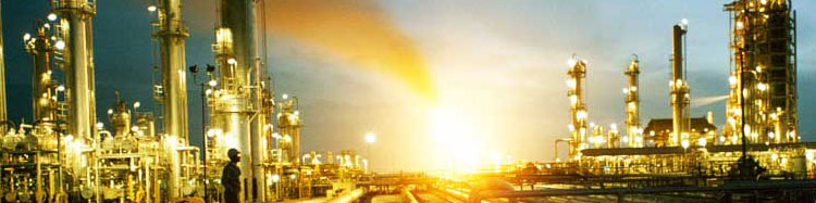 شرکت ترکیه‌ای خواهان مشارکت در پتروشیمی فجر است